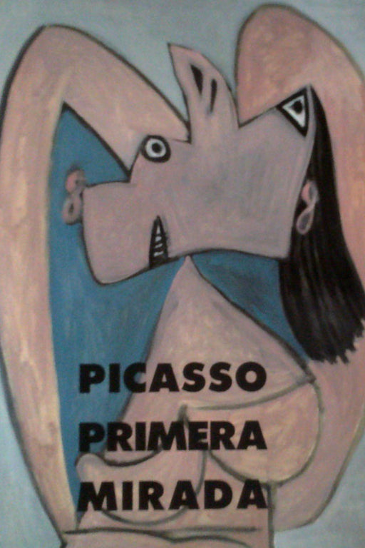 Picaso Primera Mirada