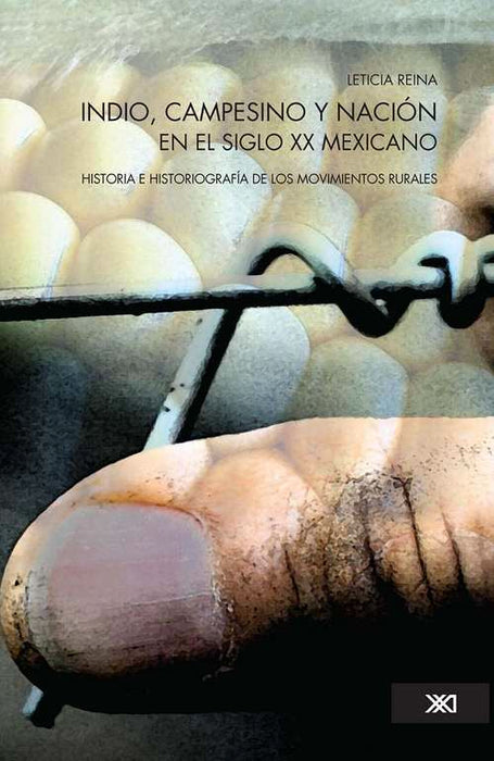 Indio, campesino y nación en el siglo XX mexicano: Historia e historiografía de los movimientos rurales